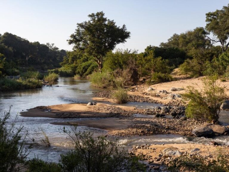 MCH Luxury Tented Camp