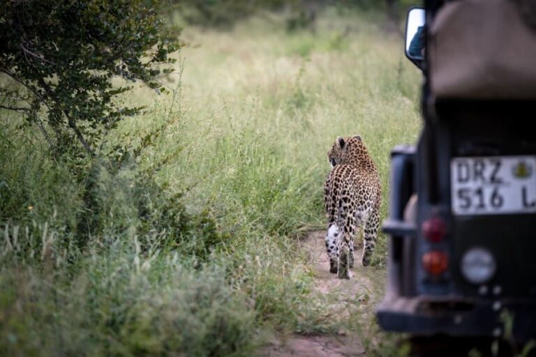 Africa on Foot Lodge