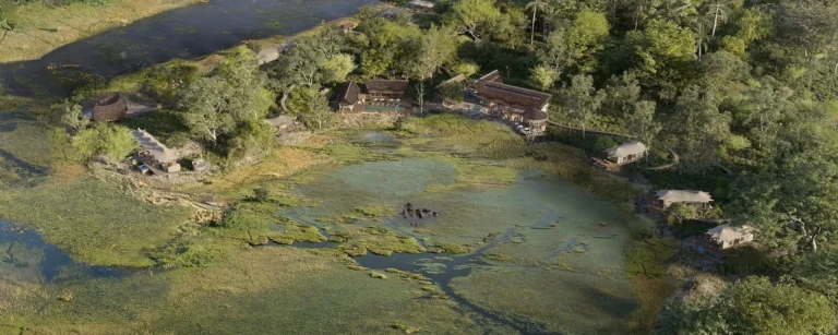 Atzaro Okavango Camp