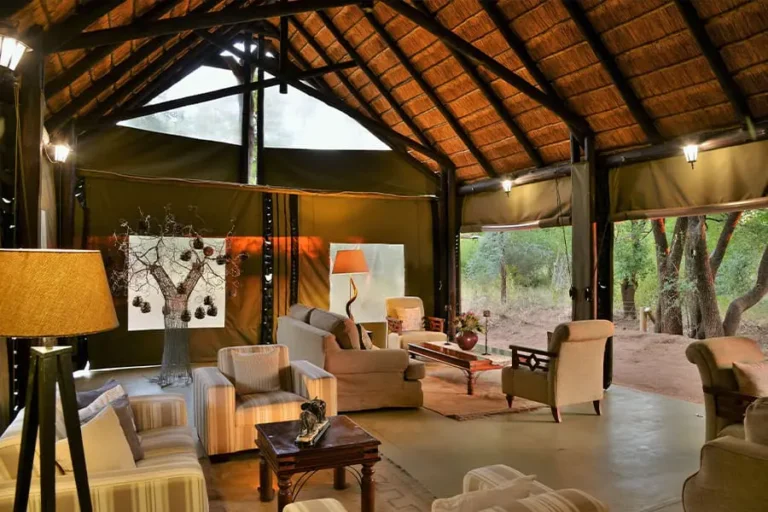 Black Rhino Game Lodge
