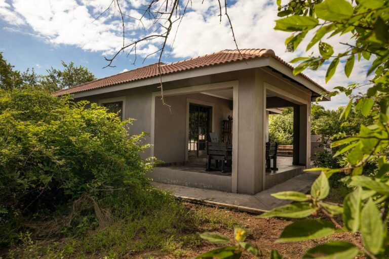 Impala Lily accommodation with pool, Marloth Park, South Africa
