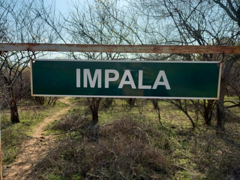 Impala Lily garden and bushveld setting, Marloth Park