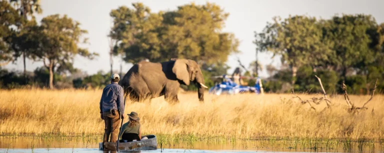 Kweene River Camp