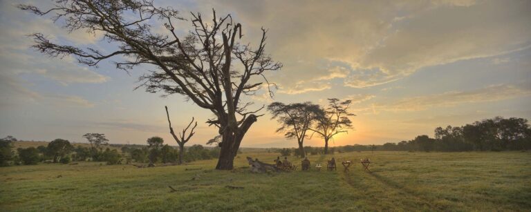 Ol Pejeta Bush Camp