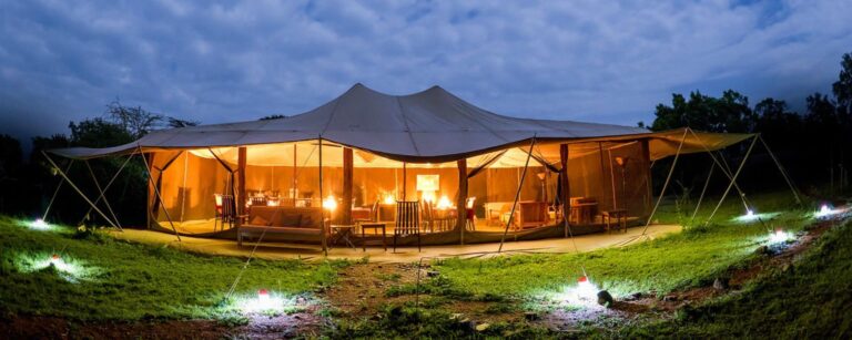 Porini Lion Camp