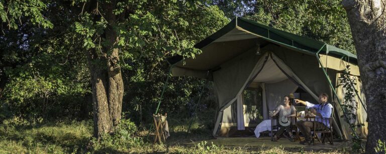 John’s Camp