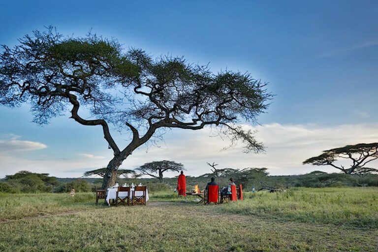 Lemala Ndutu