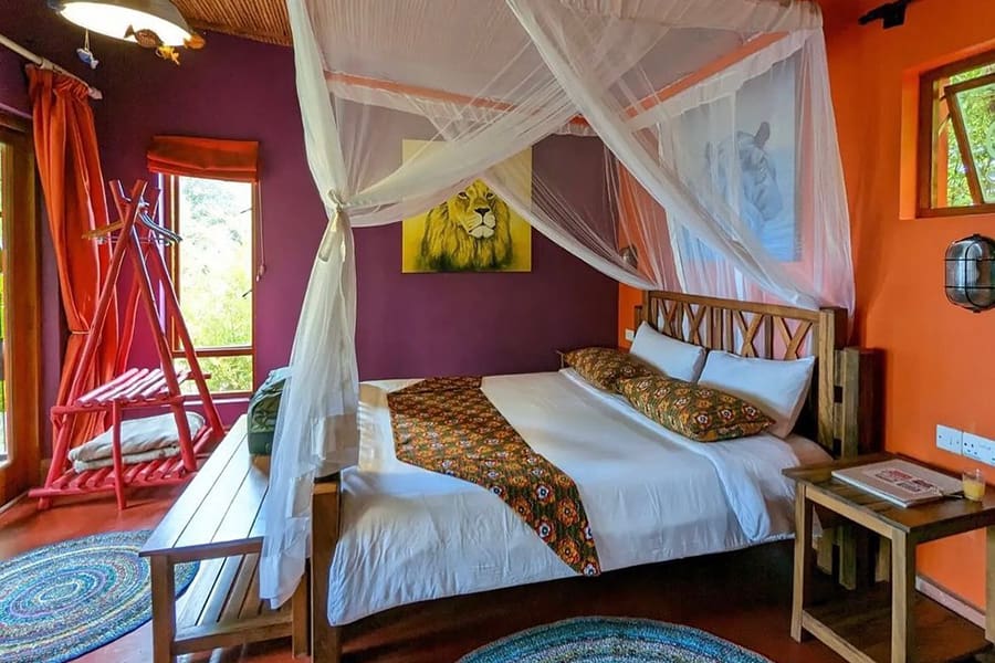 Main Areas at Chameleon Hill Lodge