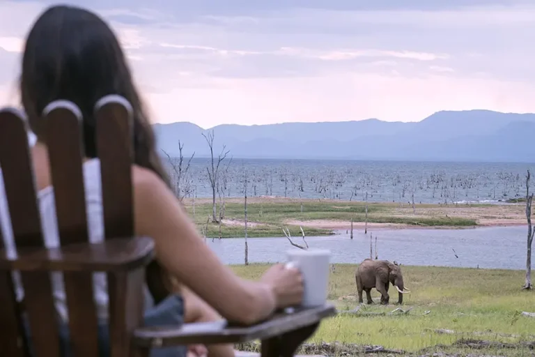 Changa Safari Camp