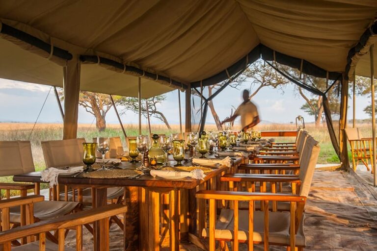 Serengeti Migration Safari Camp