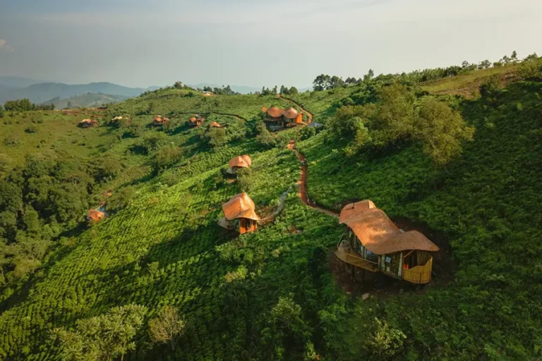Erebero Hills