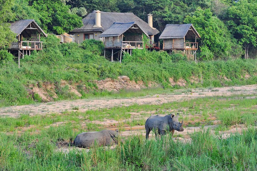 Luxury Suite at Jock Safari Lodge