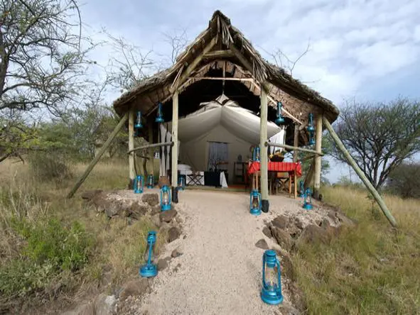 Standard Tent at Kambi ya Tembo
