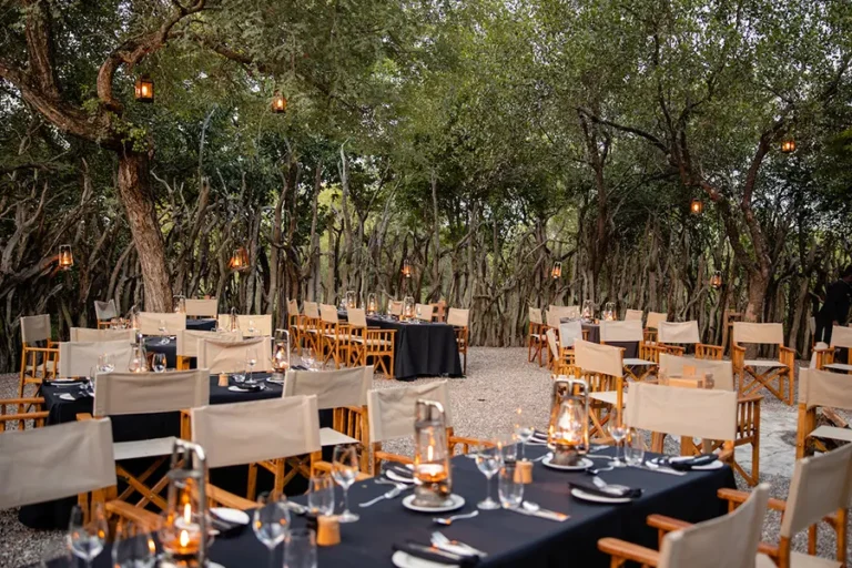 Kapama Southern Camp