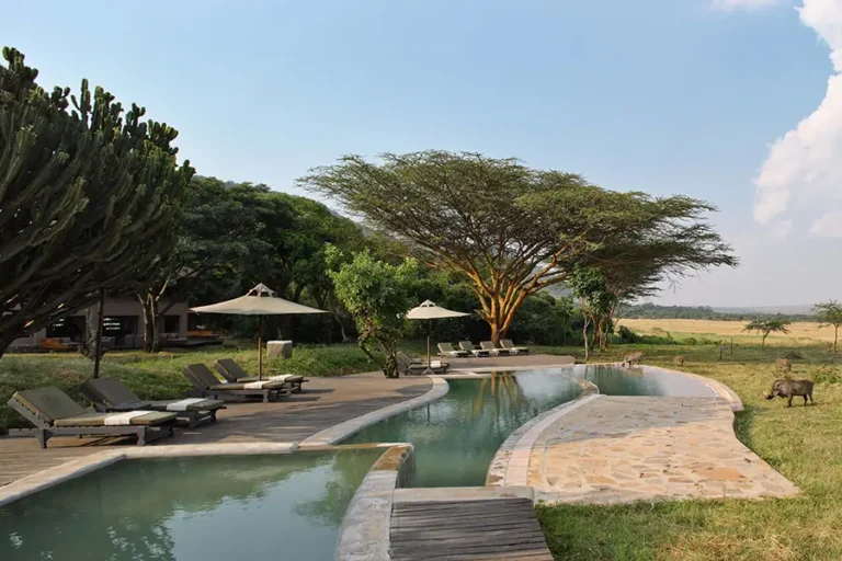 Kichwa Tembo Tented Camp