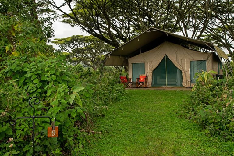 Lemala Ngorongoro