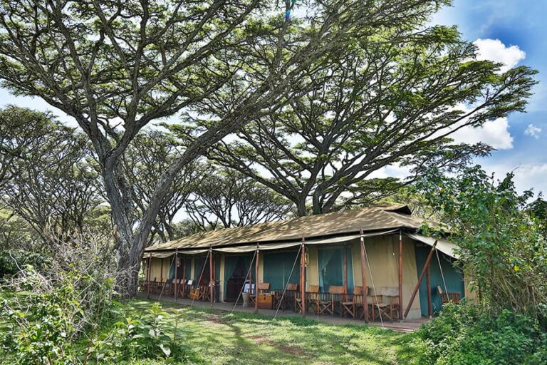 Lemala Ngorongoro