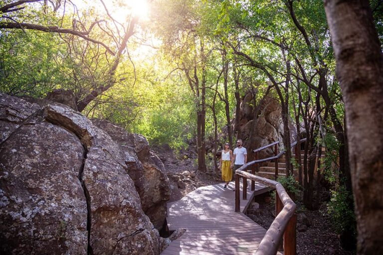 Madikwe Hills Private Game Lodge