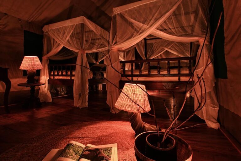Gombe Lodge
