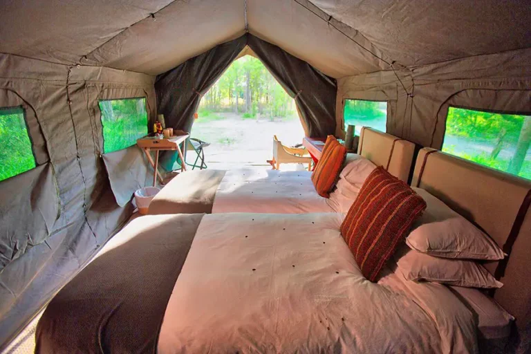 Migration Expeditions Camp