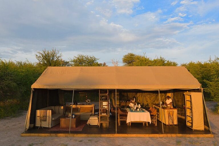 Migration Expeditions Camp