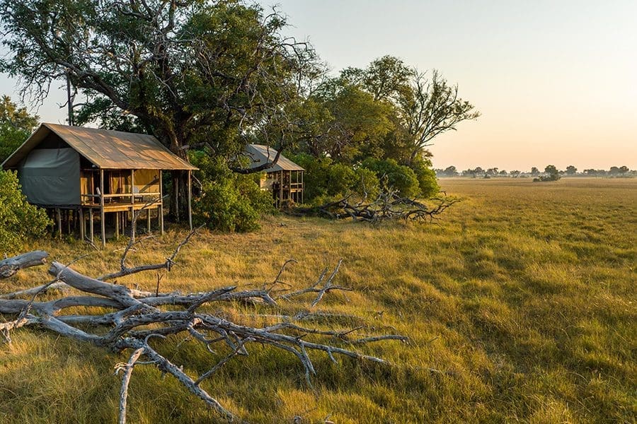 Twin/Double Room at Mokolwane