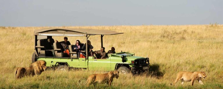 Olmara Camp