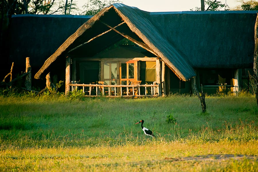 Tented Suite at The Hide Lodge