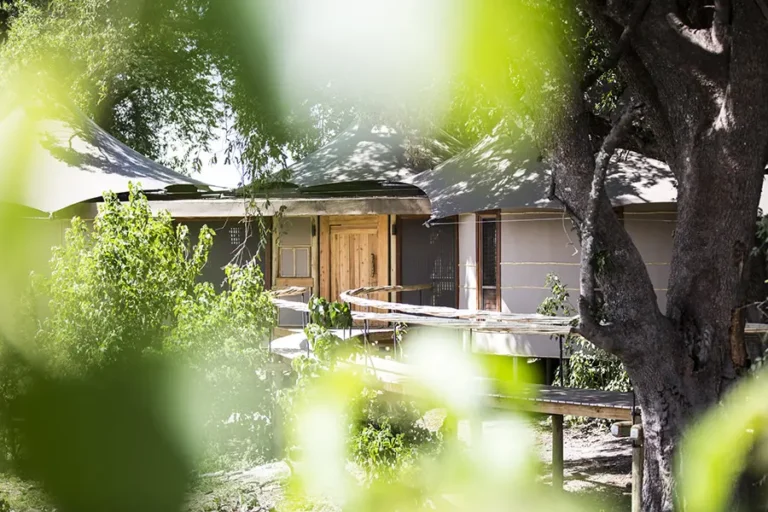 Mombo Camp