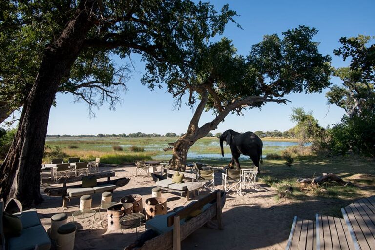 Xaranna Okavango Delta Camp