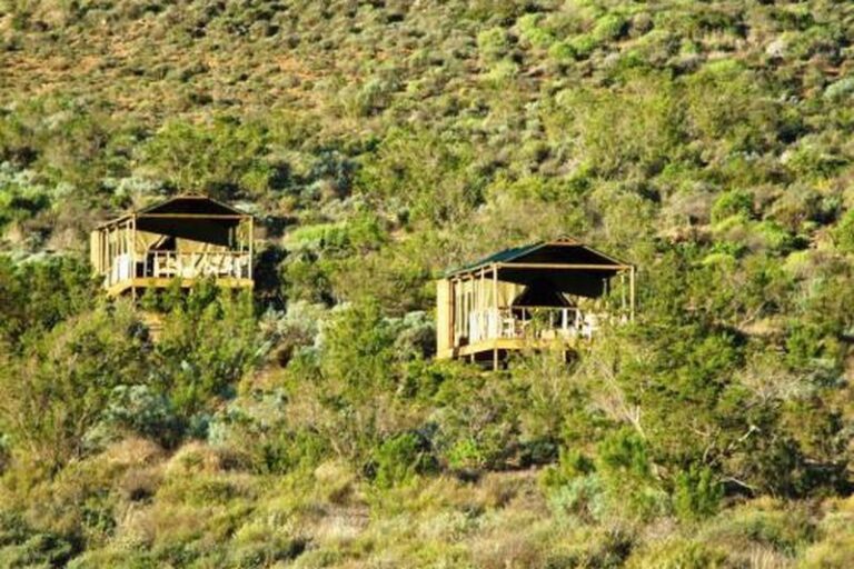 Agama Tented Camp
