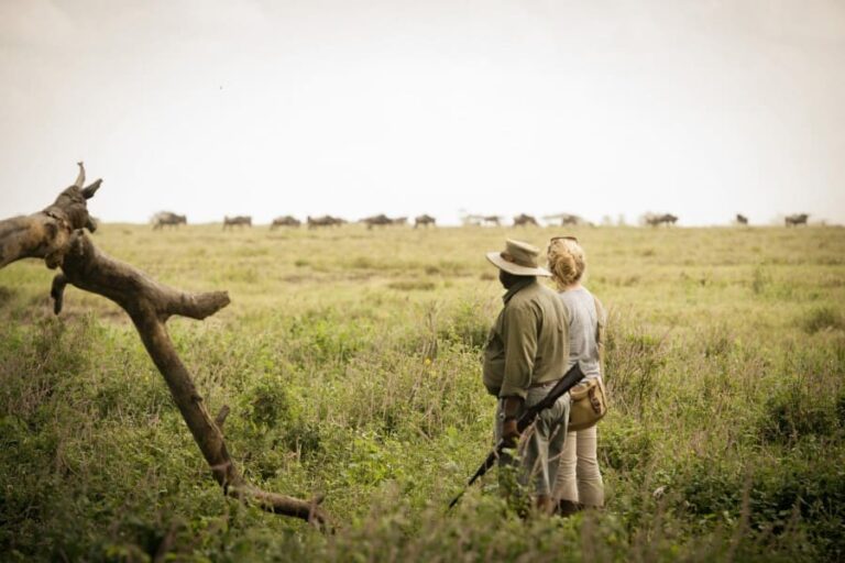 Retreats at Namiri Plains