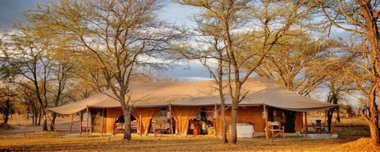 Serian’s Serengeti Lamai