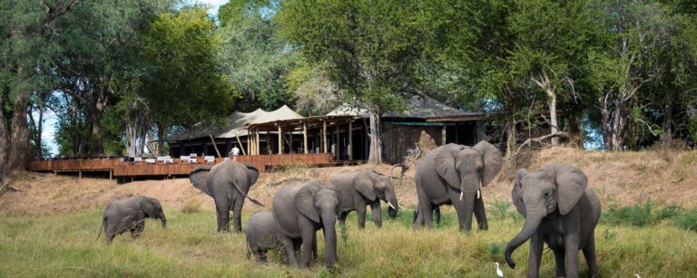 Ruckomechi Camp