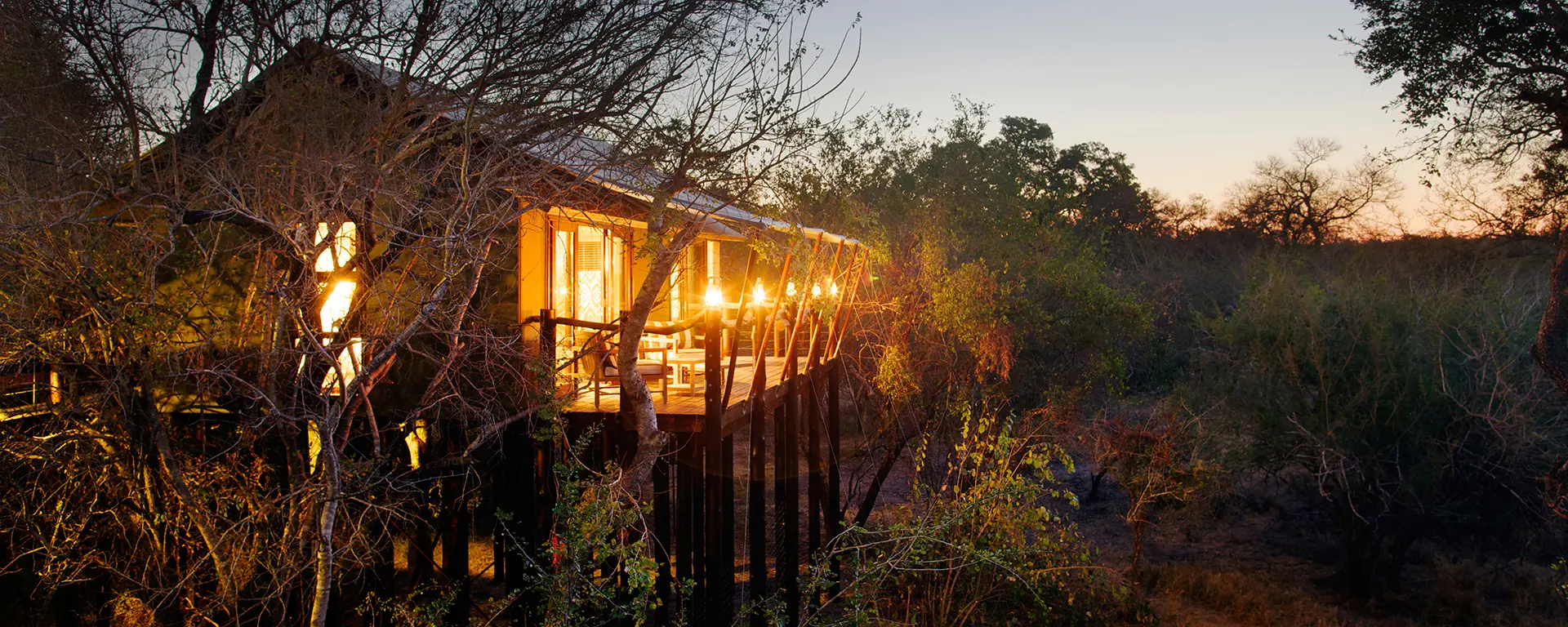 Raised tented suites on wooden walkways at Kapama Buffalo Camp, lit up at dusk