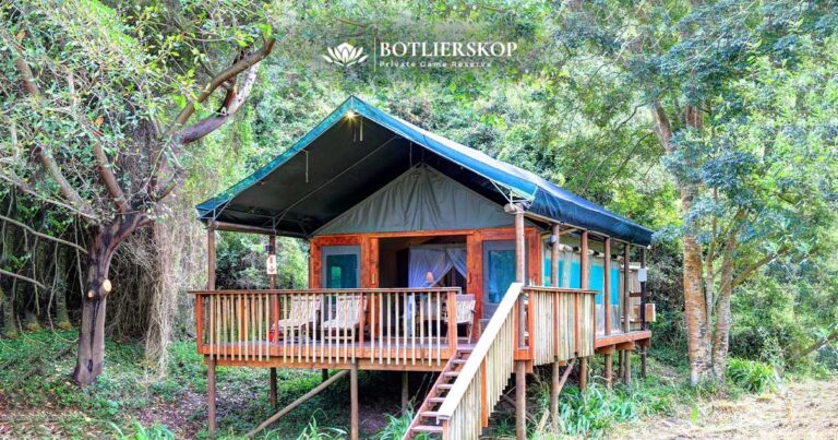 Botlierskop Tented Lodge
