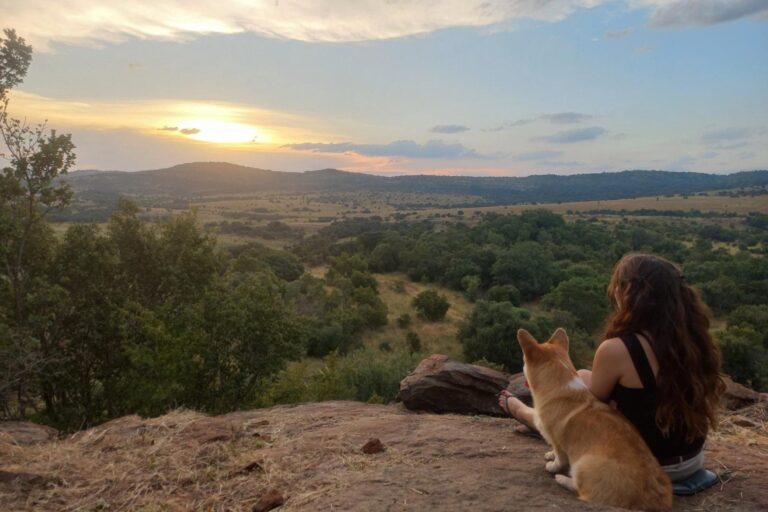 B&rsquo;sorah Luxury Tented Camp