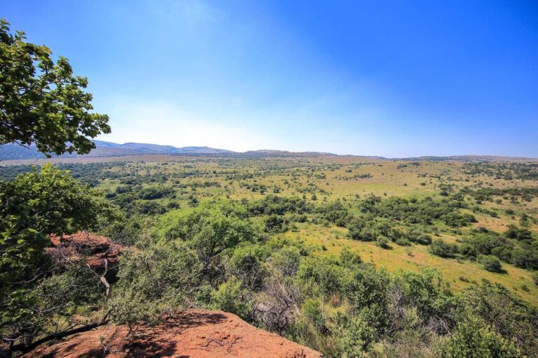 B&rsquo;sorah Luxury Tented Camp