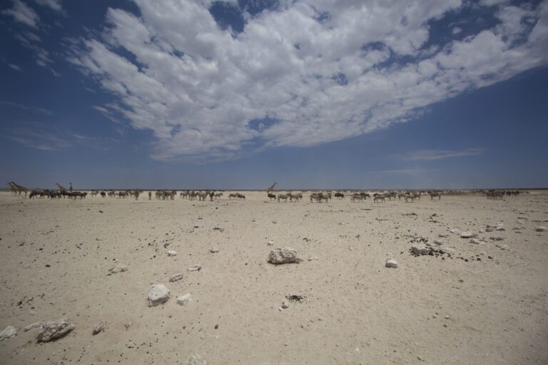 Etosha National Park