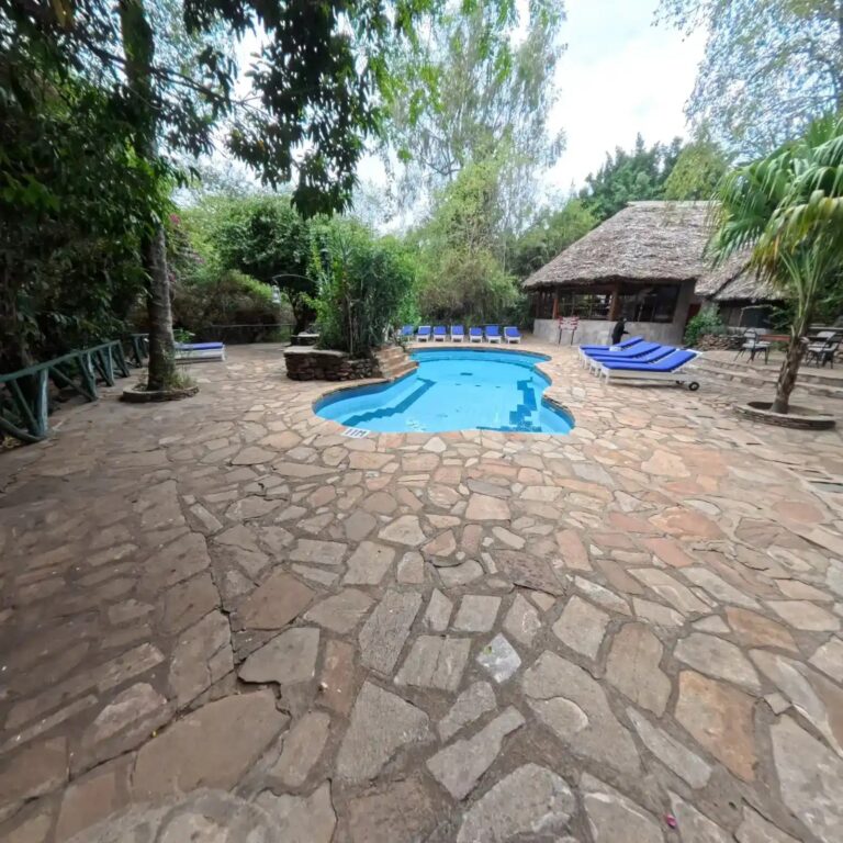 Fig Tree Camp