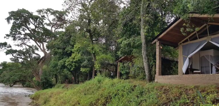 Fig Tree Camp