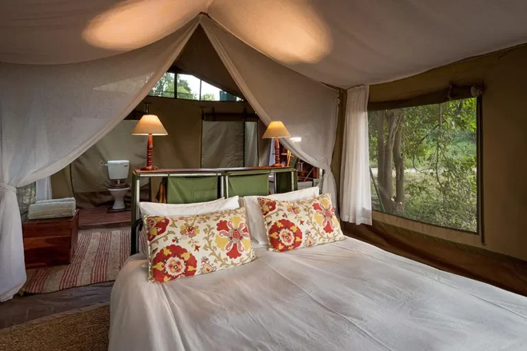 John&rsquo;s Camp