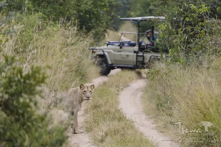 Tsowa Safari Island Lodge