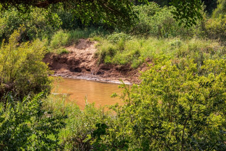 Makalali Private Game Reserve