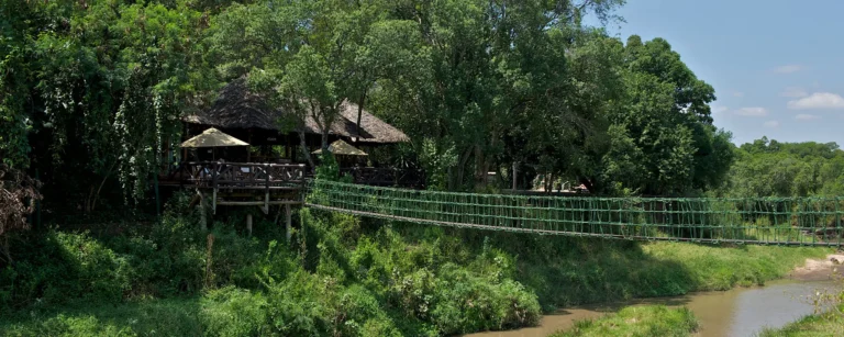 Mara Intrepids Camp