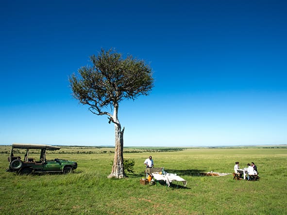 Mara Plains Camp