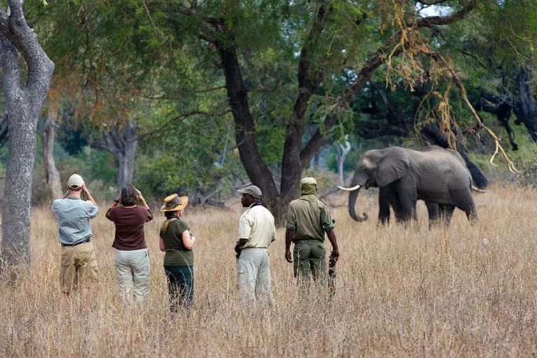 Mfuwe Lodge
