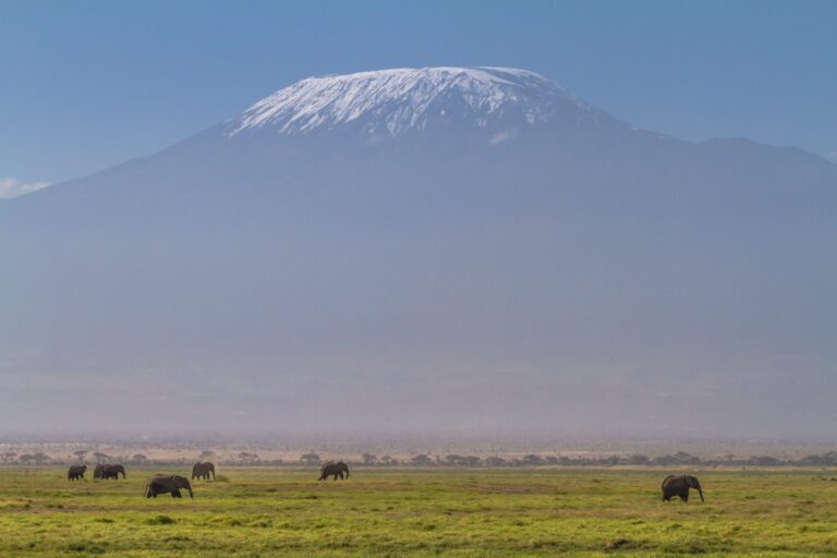 Mount Kilimanjaro National Park