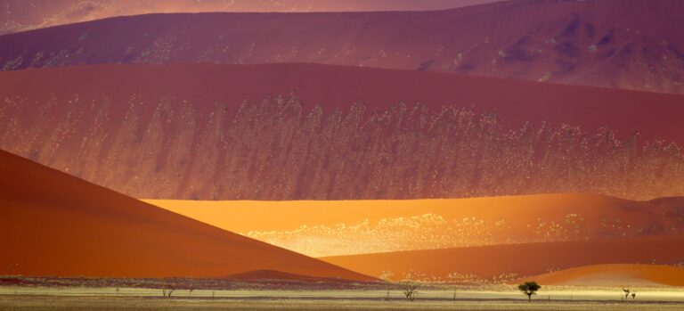 Namib-Naukluft National Park