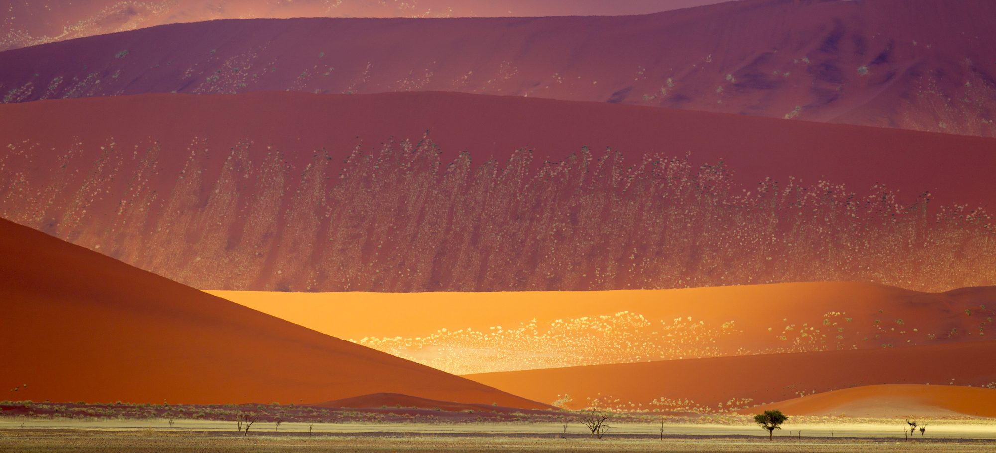 Namib-Naukluft National Park